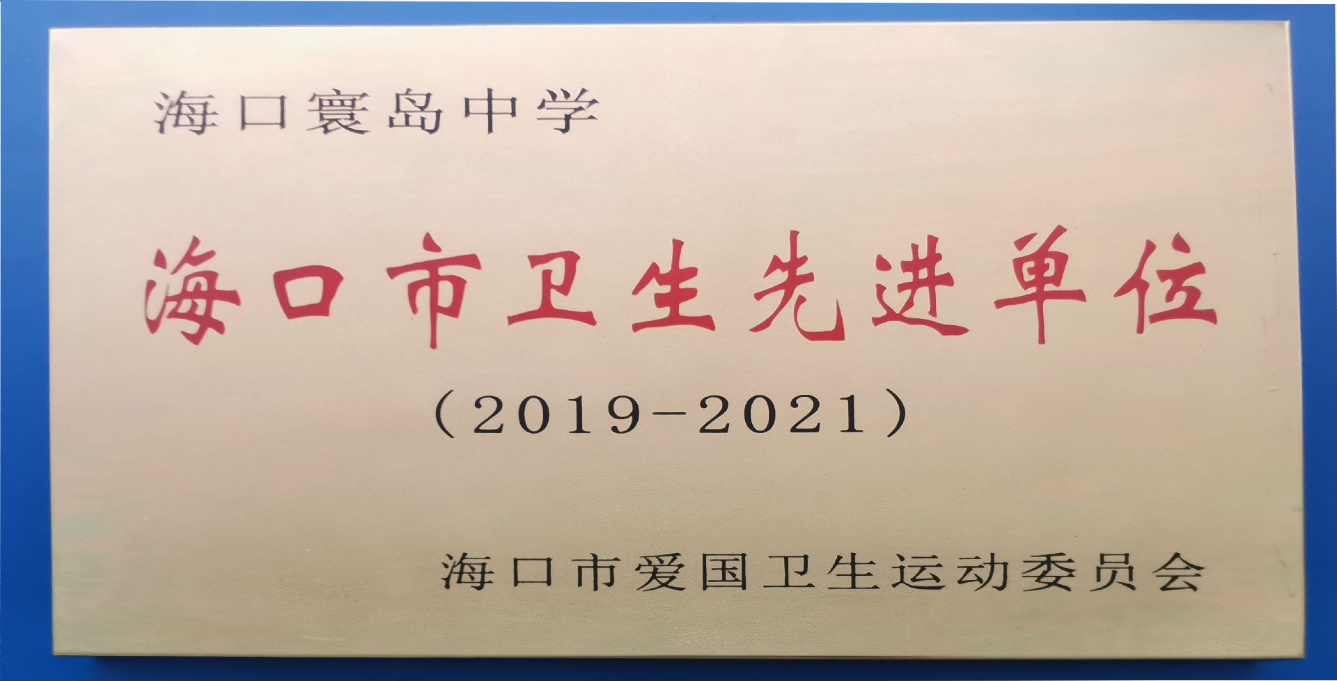 海口寰岛中学海口市卫生先进单位